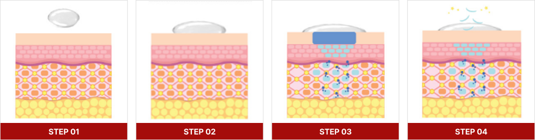 Nano Liposome