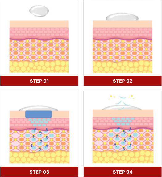 Nano Liposome