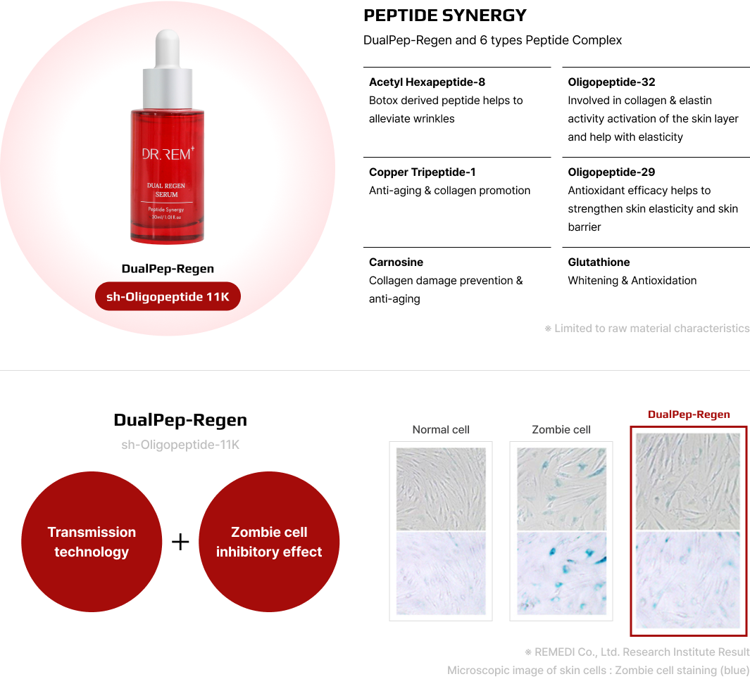 Powerful efficacy – delivering peptide