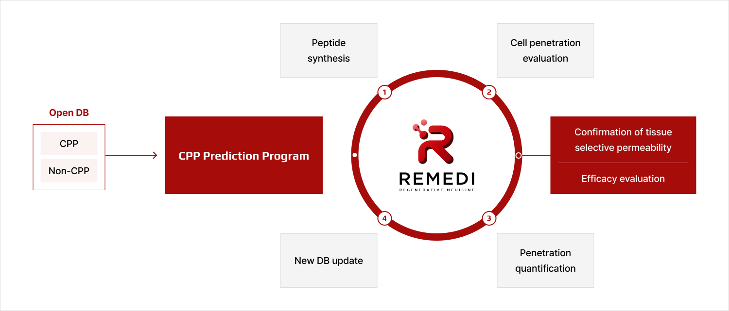 AI Program flowchart